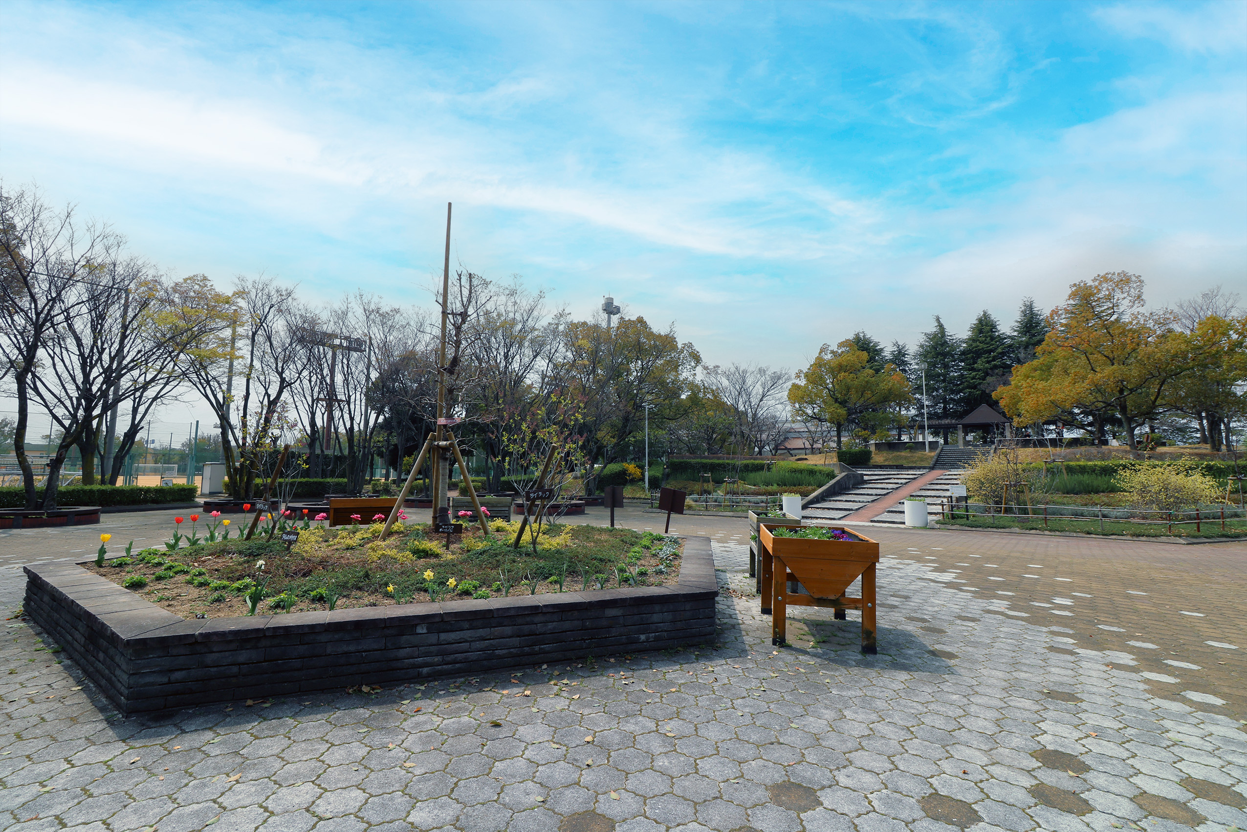 西町公園